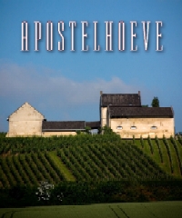 Wijngaard Apostelhoeve